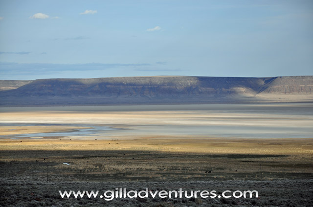 shadows on the alvord desert