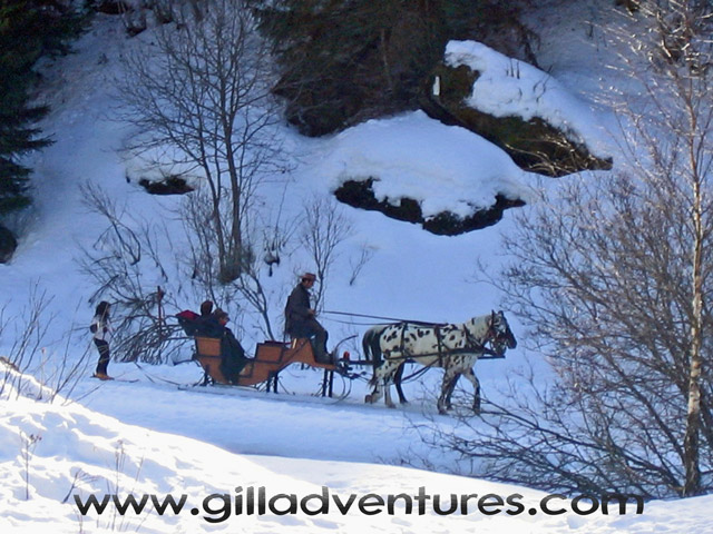 horse drawn sleigh
