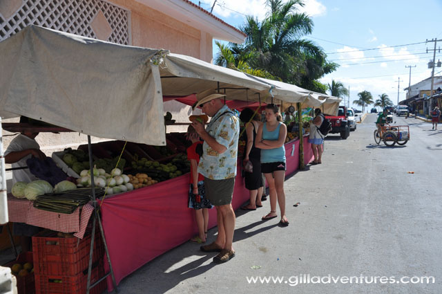 Puerto Morelos farmers market