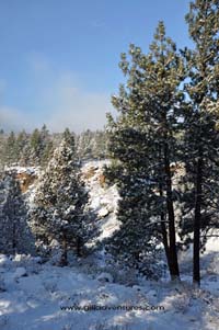 central Oregon in snow