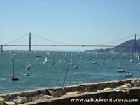SFO bay during airshow