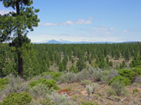 the riding trails at rock springs guest ranch