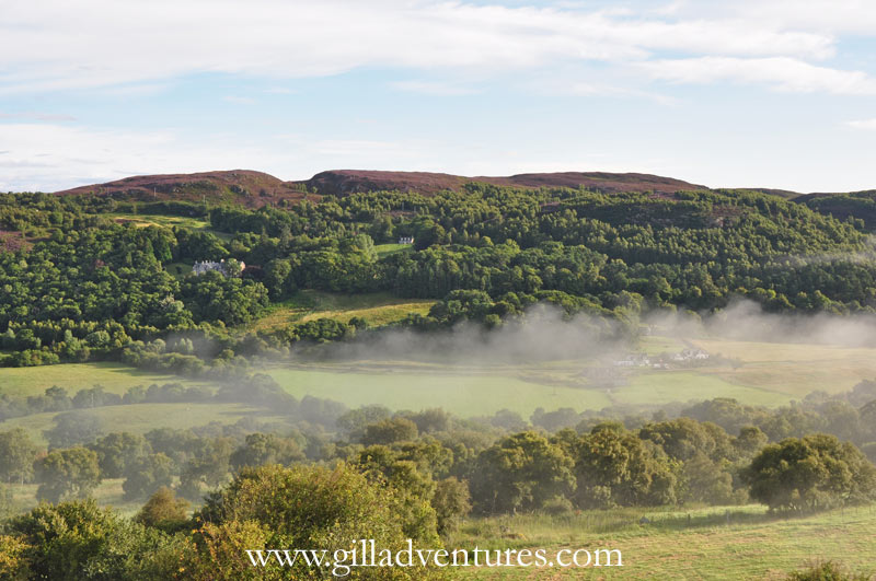 Fog in the glen: the view from our window at Highland Lodges, taken in the morning before leaving.