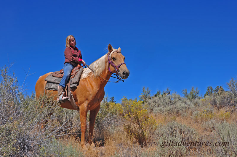 Horses-girls_B507 Palomino horse with young rider