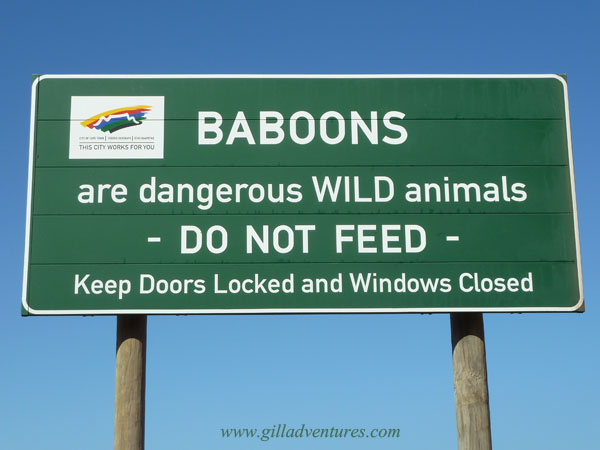 Baboons-3 A sign along the road in South Africa warning against feeding baboons. Taken during our trip around the world.