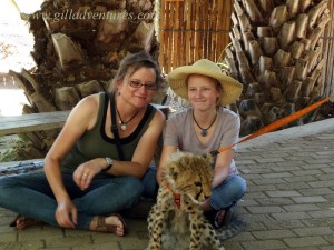 An encounter with a cheetah cub