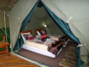 The tent bedroom of the tree house where we stayed during our trip around the world.