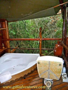 The bathroom of our tree house