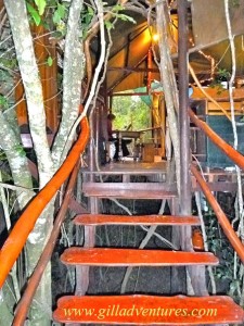 The entry to the tree house where we stayed a few nights during our trip around the world.