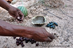 Kalahari_San-2 Nuts and beetles for our meal with the San in the Kalahari