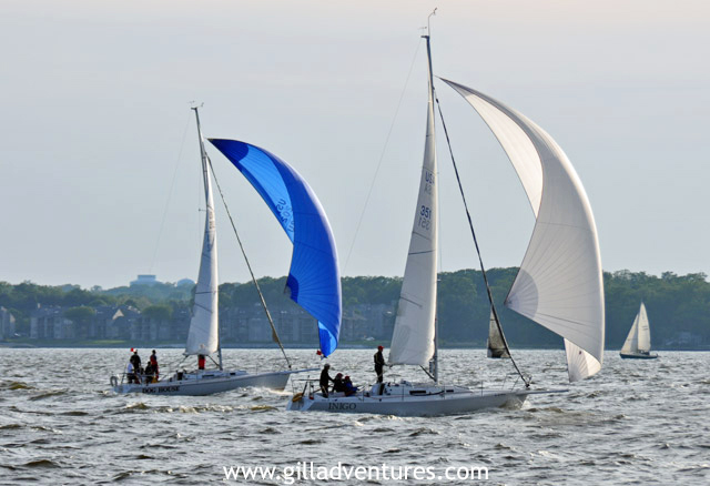 sailboat racing annapolis