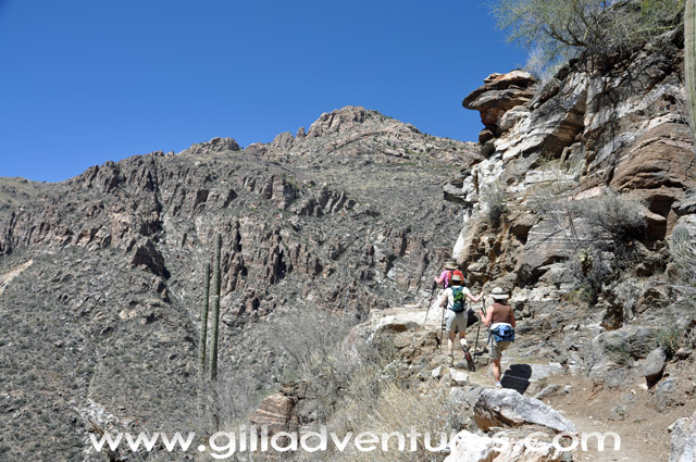 Sabino Canyon trail