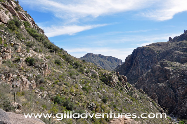 West Fork Trail, Sabino Basin
