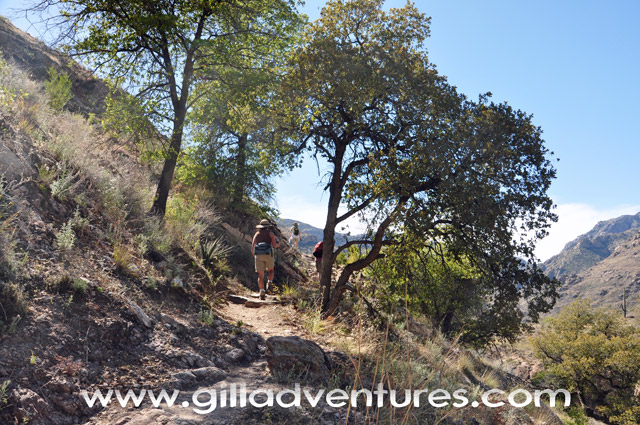 shady spot on trail from Hutch's pool to Sabino Canyon