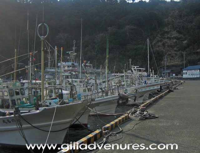 fishing boats in Habu