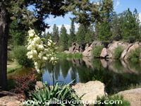 the pond at rock springs guest ranch